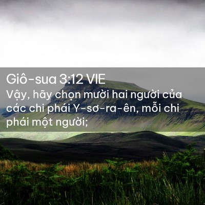 Picture 02 - Giô-sua 3:12 VIE - Vậy, hãy chọn mười hai người của - Bible Verse Picture