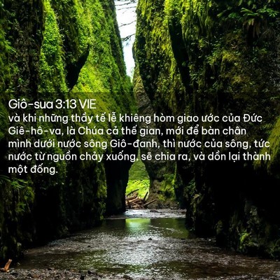 Picture 02 - Giô-sua 3:13 VIE - và khi những thầy tế lễ khiêng hòm - Bible Verse Picture