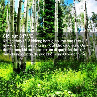 Picture 02 - Giô-sua 3:17 VIE - Những thầy tế lễ khiêng hòm giao ước - Bible Verse Picture