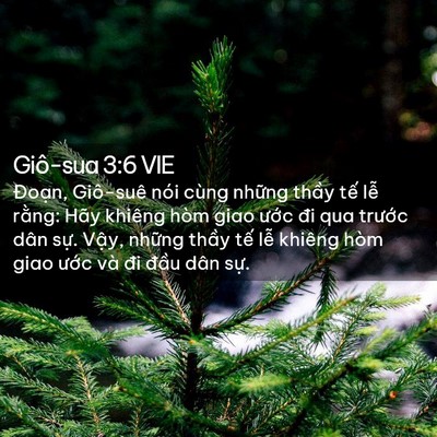 Picture 02 - Giô-sua 3:6 VIE - Đoạn, Giô-suê nói cùng những thầy tế - Bible Verse Picture