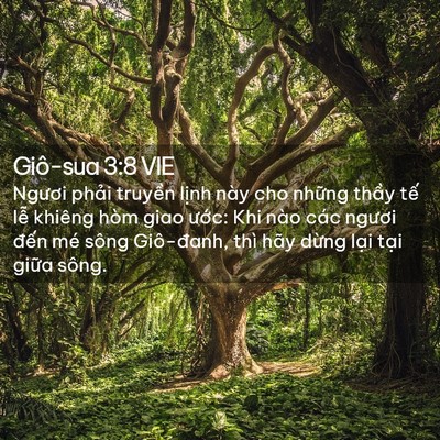 Picture 02 - Giô-sua 3:8 VIE - Ngươi phải truyền lịnh này cho những - Bible Verse Picture
