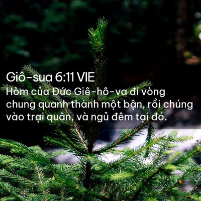 Picture 02 - Giô-sua 6:11 VIE - Hòm của Đức Giê-hô-va đi vòng chung - Bible Verse Picture