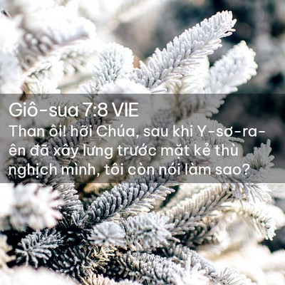 Picture 02 - Giô-sua 7:8 VIE - Than ôi! hỡi Chúa, sau khi Y-sơ-ra-ên đã - Bible Verse Picture