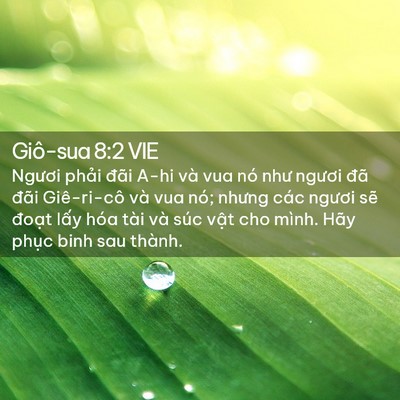 Picture 02 - Giô-sua 8:2 VIE - Ngươi phải đãi A-hi và vua nó như - Bible Verse Picture