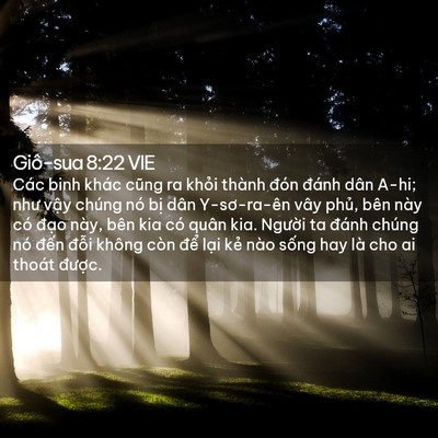 Picture 02 - Giô-sua 8:22 VIE - Các binh khác cũng ra khỏi thành đón - Bible Verse Picture