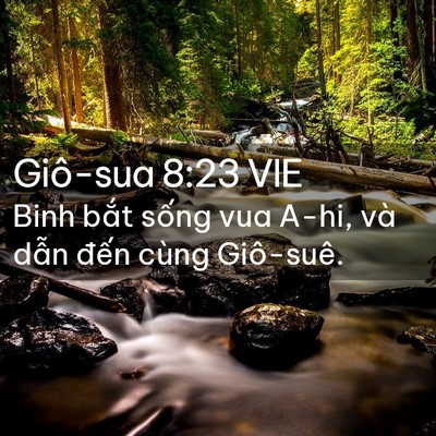 Picture 02 - Giô-sua 8:23 VIE - Binh bắt sống vua A-hi, và dẫn đến - Bible Verse Picture