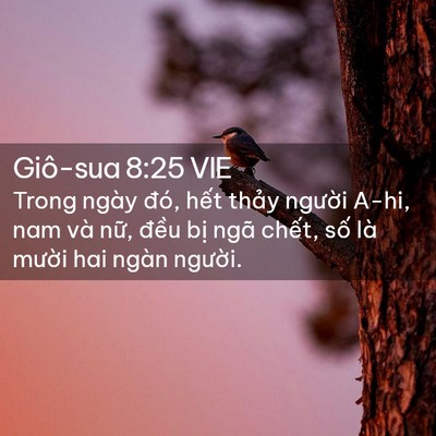 Picture 02 - Giô-sua 8:25 VIE - Trong ngày đó, hết thảy người A-hi, nam - Bible Verse Picture