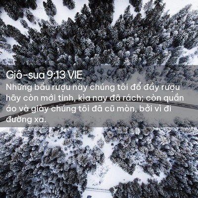 Picture 02 - Giô-sua 9:13 VIE - Những bầu rượu này chúng tôi đổ - Bible Verse Picture