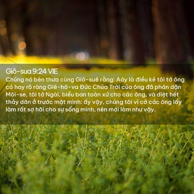 Picture 02 - Giô-sua 9:24 VIE - Chúng nó bèn thưa cùng Giô-suê rằng: - Bible Verse Picture