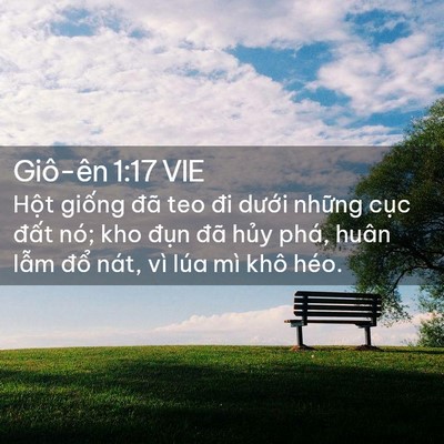 Picture 02 - Giô-ên 1:17 VIE - Hột giống đã teo đi dưới những cục - Bible Verse Picture