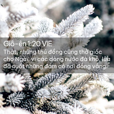 Picture 02 - Giô-ên 1:20 VIE - Thật, những thú đồng cũng thở giốc - Bible Verse Picture