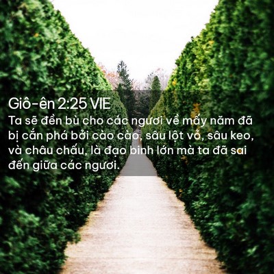 Picture 02 - Giô-ên 2:25 VIE - Ta sẽ đền bù cho các ngươi về mấy - Bible Verse Picture