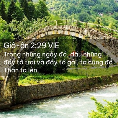 Picture 02 - Giô-ên 2:29 VIE - Trong những ngày đó, dầu những đầy - Bible Verse Picture
