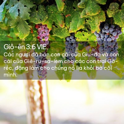 Picture 02 - Giô-ên 3:6 VIE - Các ngươi đã bán con cái của Giu-đa và - Bible Verse Picture