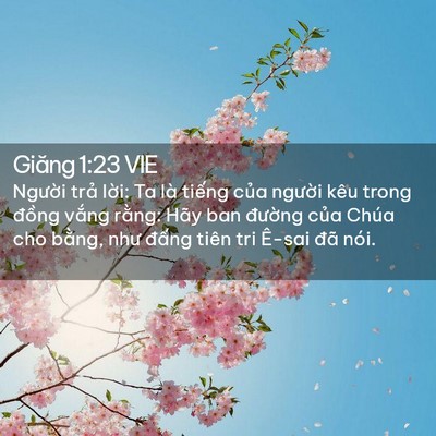 Picture 02 - Giăng 1:23 VIE - Người trả lời: Ta là tiếng của - Bible Verse Picture