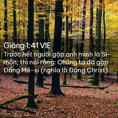 Picture 02 - Giăng 1:41 VIE - Trước hết người gặp anh mình là - Bible Verse Picture