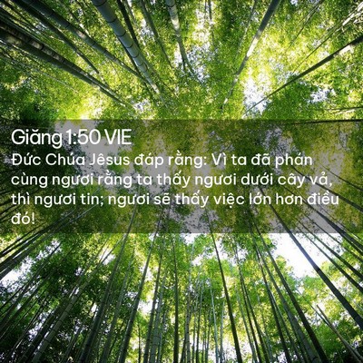Picture 02 - Giăng 1:50 VIE - Đức Chúa Jêsus đáp rằng: Vì ta đã - Bible Verse Picture