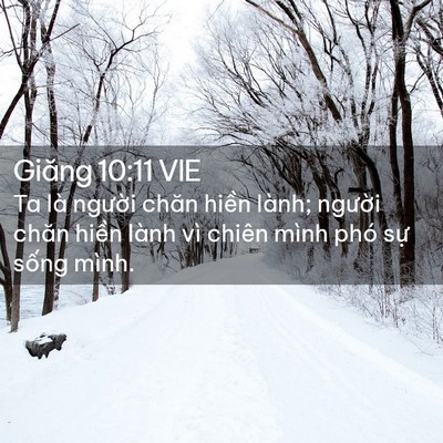 Picture 02 - Giăng 10:11 VIE - Ta là người chăn hiền lành; người - Bible Verse Picture