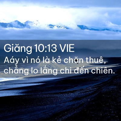 Picture 02 - Giăng 10:13 VIE - Aáy vì nó là kẻ chăn thuê, chẳng lo - Bible Verse Picture