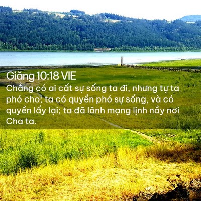Picture 02 - Giăng 10:18 VIE - Chẳng có ai cất sự sống ta đi, nhưng - Bible Verse Picture