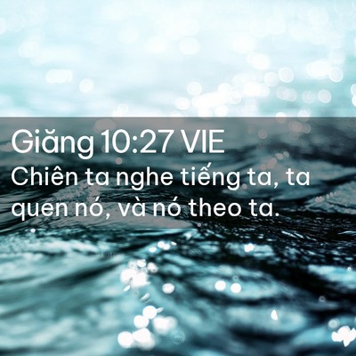Picture 02 - Giăng 10:27 VIE - Chiên ta nghe tiếng ta, ta quen nó, và nó - Bible Verse Picture