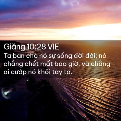Picture 02 - Giăng 10:28 VIE - Ta ban cho nó sự sống đời đời; nó - Bible Verse Picture