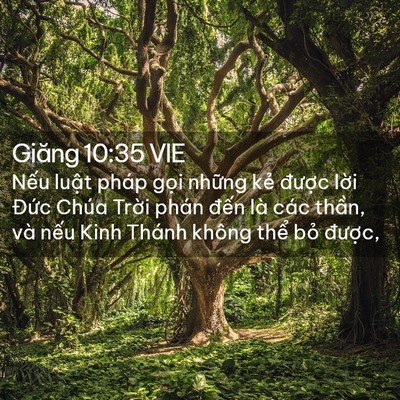 Picture 02 - Giăng 10:35 VIE - Nếu luật pháp gọi những kẻ được - Bible Verse Picture