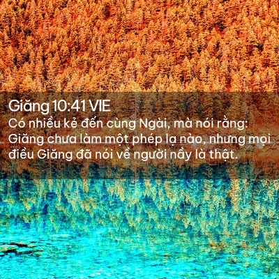 Picture 02 - Giăng 10:41 VIE - Có nhiều kẻ đến cùng Ngài, mà nói - Bible Verse Picture