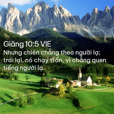 Picture 02 - Giăng 10:5 VIE - Nhưng chiên chẳng theo người lạ; trái - Bible Verse Picture