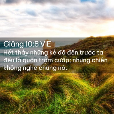 Picture 02 - Giăng 10:8 VIE - Hết thảy những kẻ đã đến trước ta - Bible Verse Picture