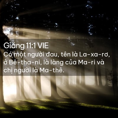 Picture 02 - Giăng 11:1 VIE - Có một người đau, tên là La-xa-rơ, ở - Bible Verse Picture