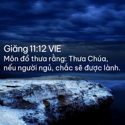 Picture 02 - Giăng 11:12 VIE - Môn đồ thưa rằng: Thưa Chúa, nếu - Bible Verse Picture