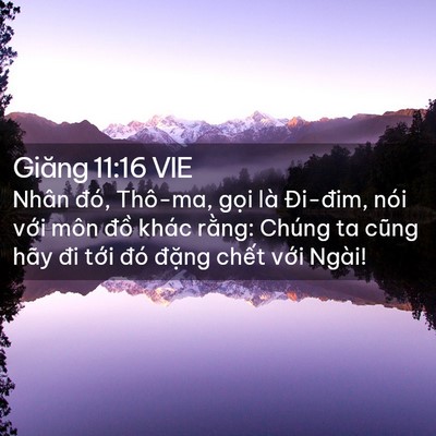 Picture 02 - Giăng 11:16 VIE - Nhân đó, Thô-ma, gọi là Đi-đim, nói - Bible Verse Picture