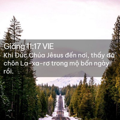 Picture 02 - Giăng 11:17 VIE - Khi Đức Chúa Jêsus đến nơi, thấy đã - Bible Verse Picture