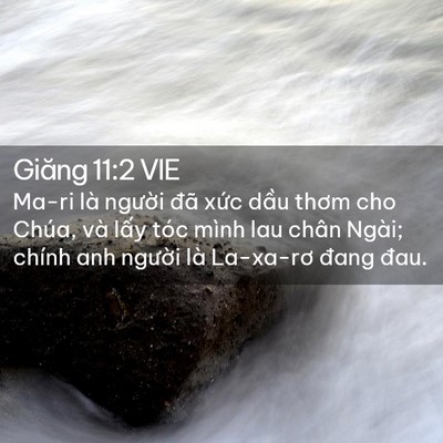 Picture 02 - Giăng 11:2 VIE - Ma-ri là người đã xức dầu thơm cho - Bible Verse Picture