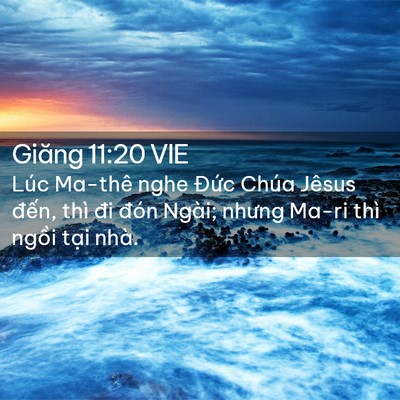 Picture 02 - Giăng 11:20 VIE - Lúc Ma-thê nghe Đức Chúa Jêsus đến, - Bible Verse Picture