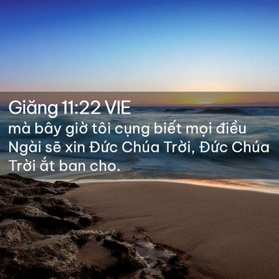 Picture 02 - Giăng 11:22 VIE - mà bây giờ tôi cụng biết mọi điều - Bible Verse Picture