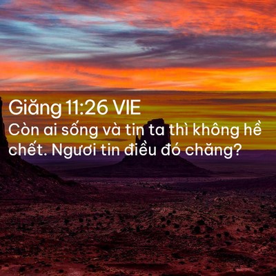 Picture 02 - Giăng 11:26 VIE - Còn ai sống và tin ta thì không hề - Bible Verse Picture