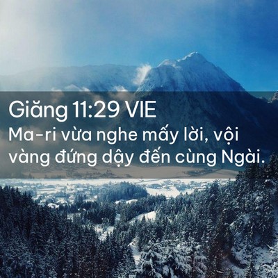 Picture 02 - Giăng 11:29 VIE - Ma-ri vừa nghe mấy lời, vội vàng đứng - Bible Verse Picture