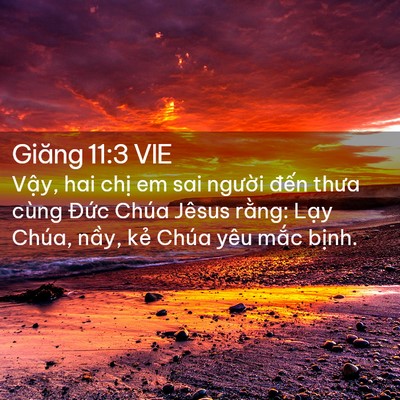 Picture 02 - Giăng 11:3 VIE - Vậy, hai chị em sai người đến thưa - Bible Verse Picture