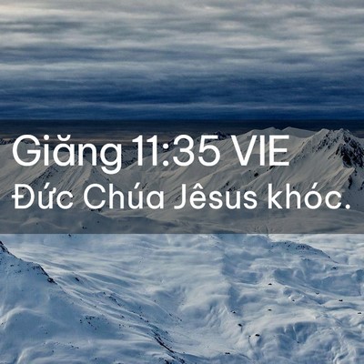 Picture 02 - Giăng 11:35 VIE - Đức Chúa Jêsus - Bible Verse Picture