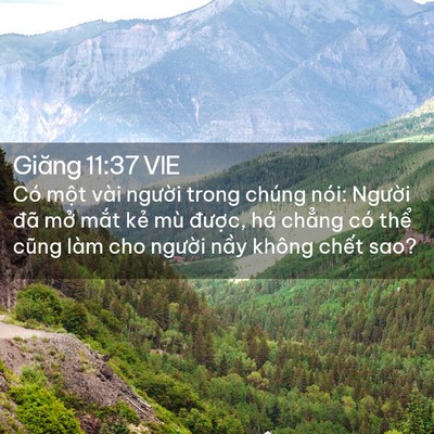 Picture 02 - Giăng 11:37 VIE - Có một vài người trong chúng nói: - Bible Verse Picture