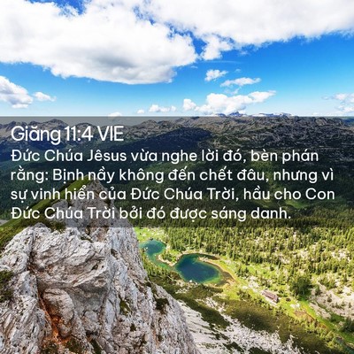 Picture 02 - Giăng 11:4 VIE - Đức Chúa Jêsus vừa nghe lời đó, bèn - Bible Verse Picture