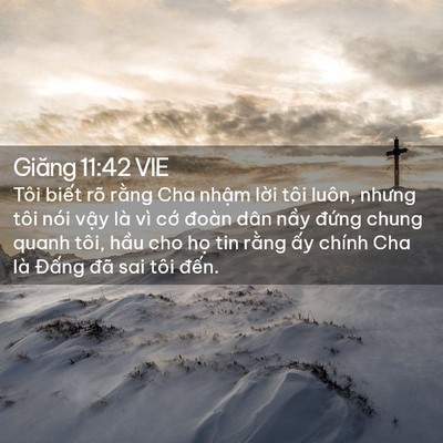 Picture 02 - Giăng 11:42 VIE - Tôi biết rõ rằng Cha nhậm lời tôi - Bible Verse Picture