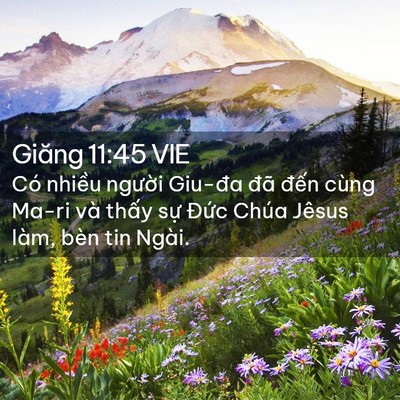 Picture 02 - Giăng 11:45 VIE - Có nhiều người Giu-đa đã đến cùng - Bible Verse Picture