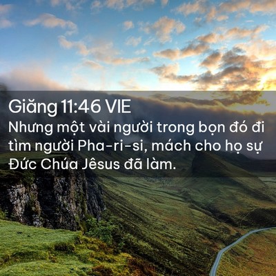 Picture 02 - Giăng 11:46 VIE - Nhưng một vài người trong bọn đó đi - Bible Verse Picture
