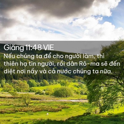 Picture 02 - Giăng 11:48 VIE - Nếu chúng ta để cho người làm, thì - Bible Verse Picture