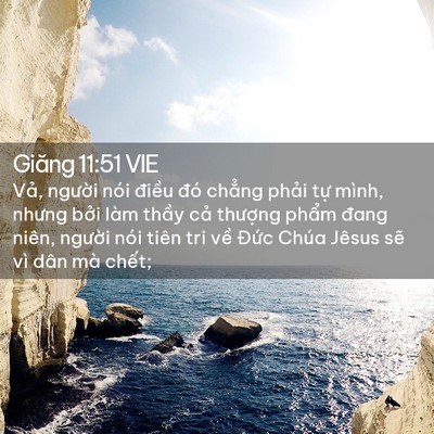 Picture 02 - Giăng 11:51 VIE - Vả, người nói điều đó chẳng phải - Bible Verse Picture