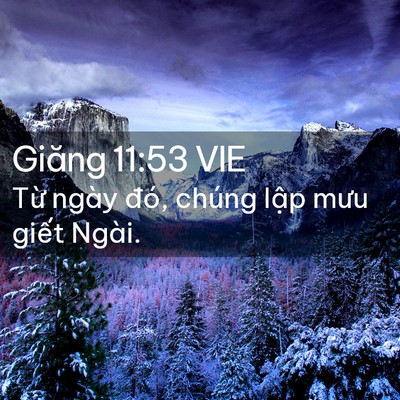 Picture 02 - Giăng 11:53 VIE - Từ ngày đó, chúng lập mưu giết - Bible Verse Picture
