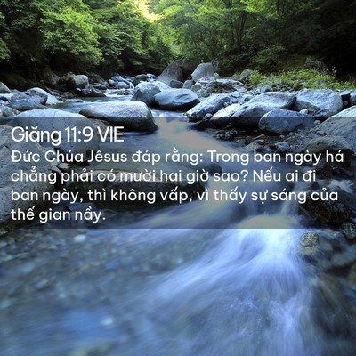 Picture 02 - Giăng 11:9 VIE - Đức Chúa Jêsus đáp rằng: Trong ban ngày - Bible Verse Picture